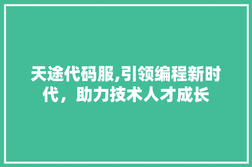 天途代码服,引领编程新时代，助力技术人才成长