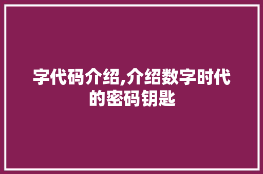 字代码介绍,介绍数字时代的密码钥匙