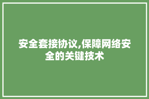 安全套接协议,保障网络安全的关键技术