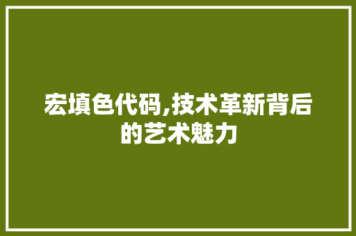 宏填色代码,技术革新背后的艺术魅力