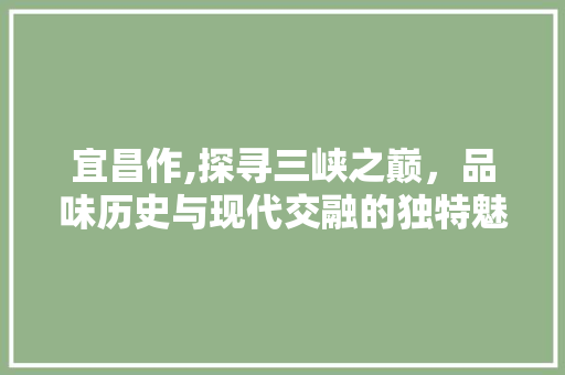 宜昌作,探寻三峡之巅，品味历史与现代交融的独特魅力