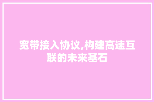 宽带接入协议,构建高速互联的未来基石