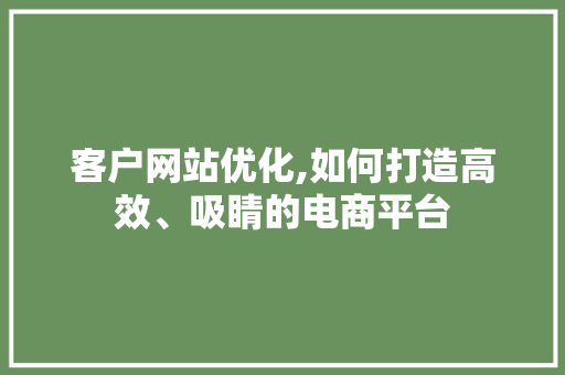 客户网站优化,如何打造高效、吸睛的电商平台