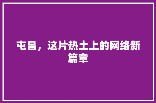 屯昌，这片热土上的网络新篇章