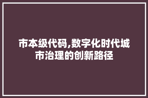市本级代码,数字化时代城市治理的创新路径