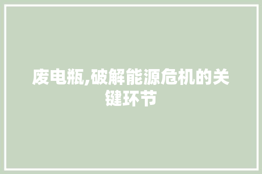 废电瓶,破解能源危机的关键环节