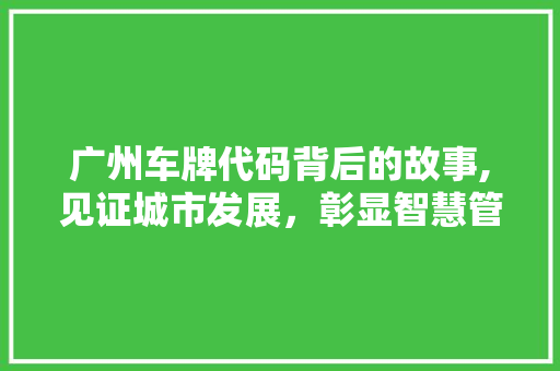 广州车牌代码背后的故事,见证城市发展，彰显智慧管理