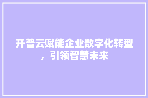开普云赋能企业数字化转型，引领智慧未来