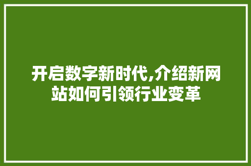 开启数字新时代,介绍新网站如何引领行业变革 搜狗SEO