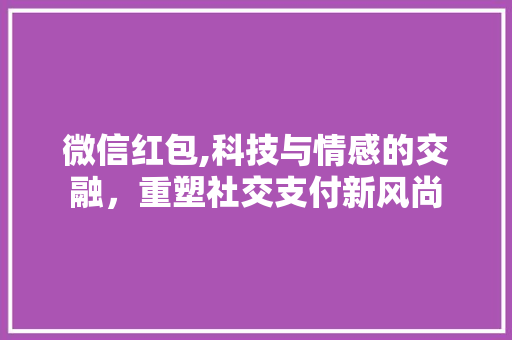 微信红包,科技与情感的交融，重塑社交支付新风尚