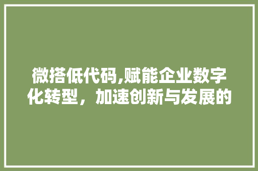 微搭低代码,赋能企业数字化转型，加速创新与发展的新引擎 百度SEO
