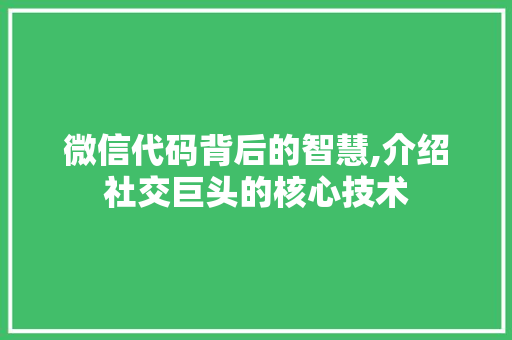 微信代码背后的智慧,介绍社交巨头的核心技术