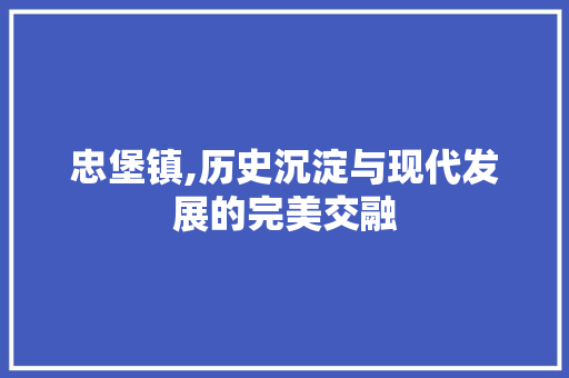 忠堡镇,历史沉淀与现代发展的完美交融