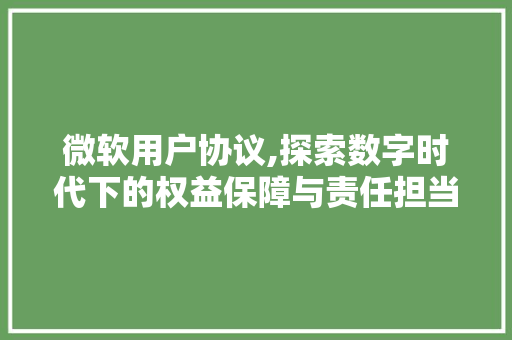微软用户协议,探索数字时代下的权益保障与责任担当