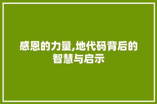 感恩的力量,地代码背后的智慧与启示