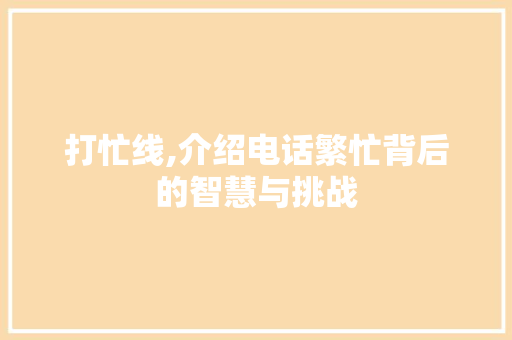 打忙线,介绍电话繁忙背后的智慧与挑战