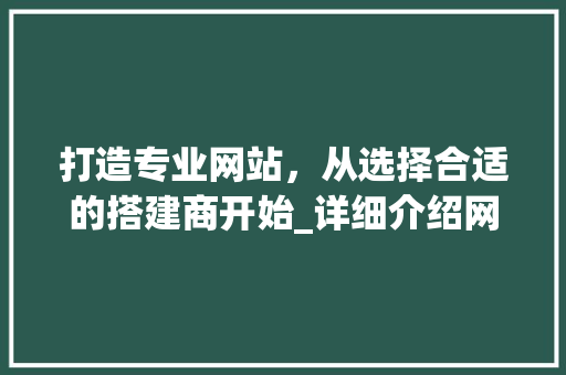 打造专业网站，从选择合适的搭建商开始_详细介绍网站搭建商的价值与选择标准 SEO关键词
