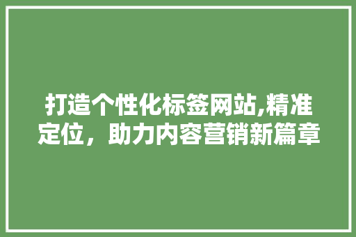 打造个性化标签网站,精准定位，助力内容营销新篇章