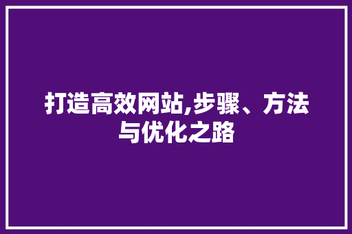 打造高效网站,步骤、方法与优化之路