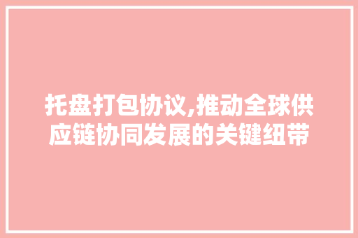 托盘打包协议,推动全球供应链协同发展的关键纽带