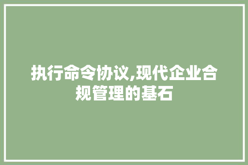 执行命令协议,现代企业合规管理的基石