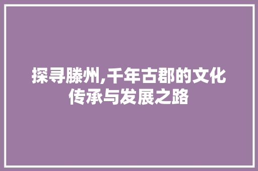 探寻滕州,千年古郡的文化传承与发展之路