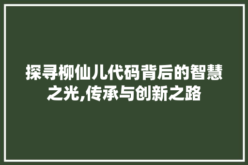 探寻柳仙儿代码背后的智慧之光,传承与创新之路