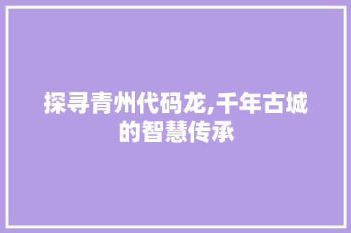探寻青州代码龙,千年古城的智慧传承