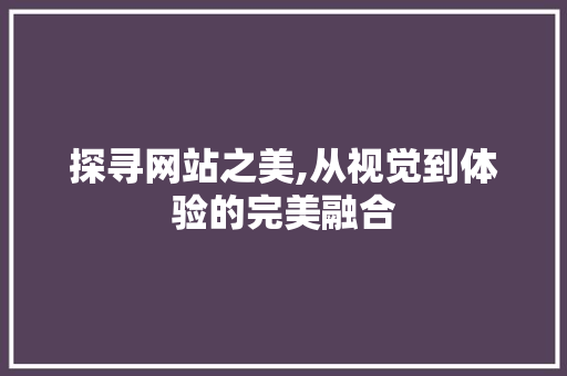 探寻网站之美,从视觉到体验的完美融合 神马SEO