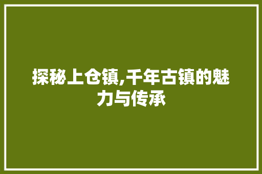 探秘上仓镇,千年古镇的魅力与传承
