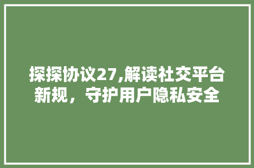 探探协议27,解读社交平台新规，守护用户隐私安全