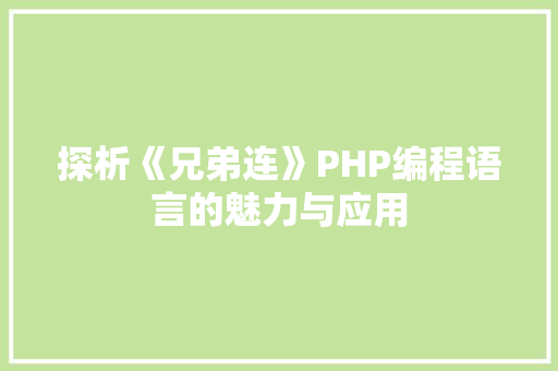 探析《兄弟连》PHP编程语言的魅力与应用