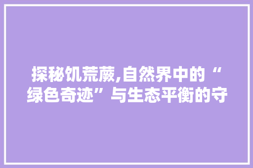 探秘饥荒蕨,自然界中的“绿色奇迹”与生态平衡的守护者 百度SEO