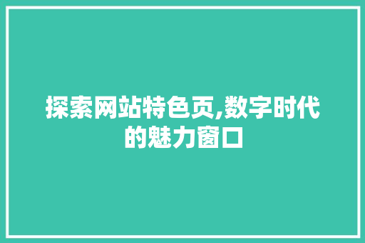 探索网站特色页,数字时代的魅力窗口 必应SEO