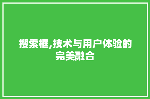 搜索框,技术与用户体验的完美融合
