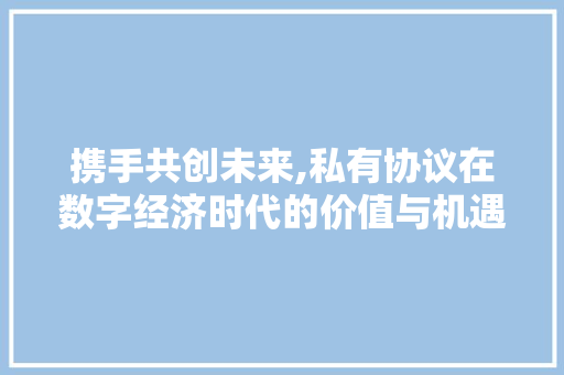 携手共创未来,私有协议在数字经济时代的价值与机遇