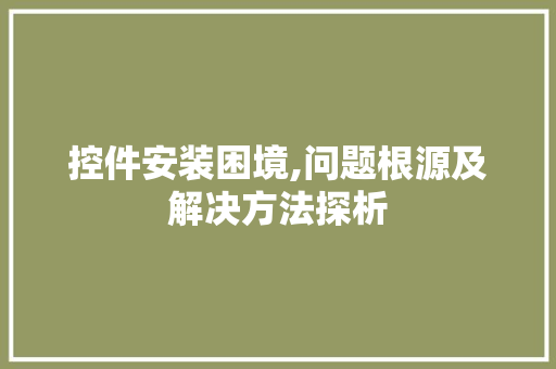 控件安装困境,问题根源及解决方法探析