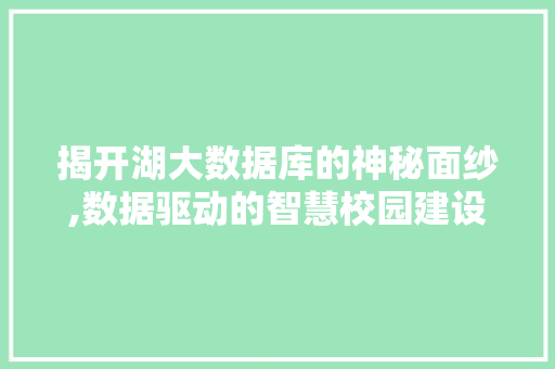 揭开湖大数据库的神秘面纱,数据驱动的智慧校园建设