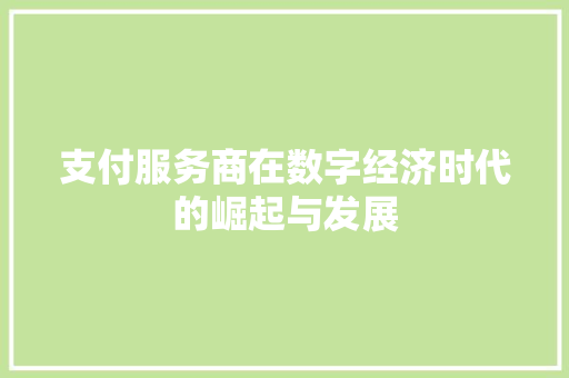 支付服务商在数字经济时代的崛起与发展