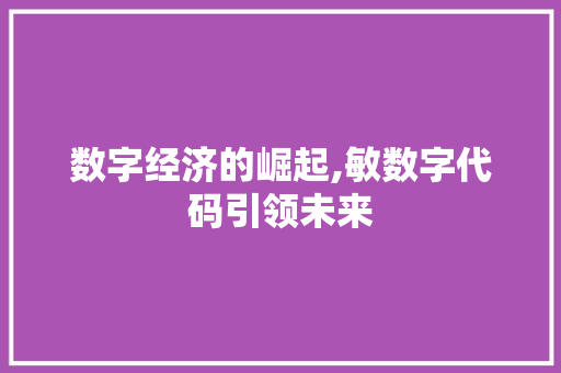 数字经济的崛起,敏数字代码引领未来