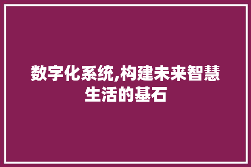 数字化系统,构建未来智慧生活的基石