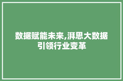 数据赋能未来,湃思大数据引领行业变革