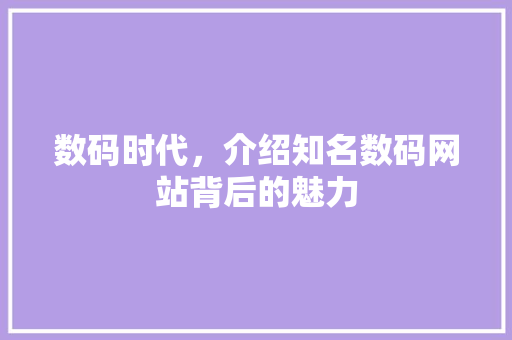 数码时代，介绍知名数码网站背后的魅力