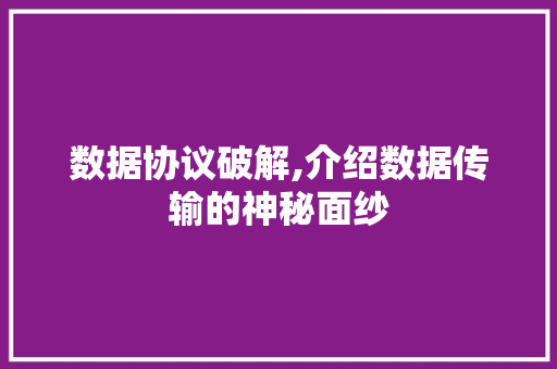 数据协议破解,介绍数据传输的神秘面纱
