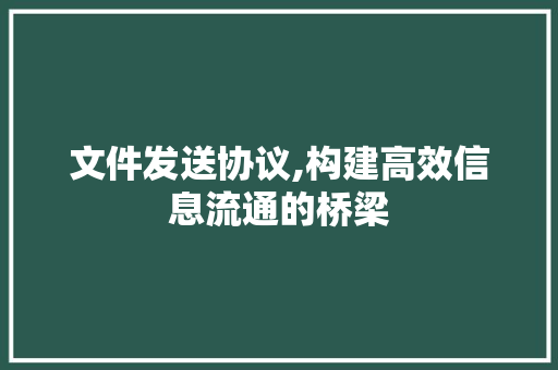 文件发送协议,构建高效信息流通的桥梁 必应SEO