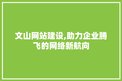 文山网站建设,助力企业腾飞的网络新航向 神马SEO