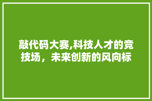 敲代码大赛,科技人才的竞技场，未来创新的风向标