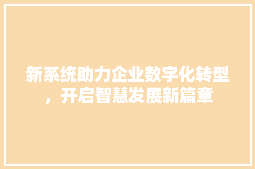新系统助力企业数字化转型，开启智慧发展新篇章