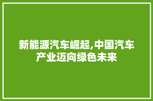 新能源汽车崛起,中国汽车产业迈向绿色未来