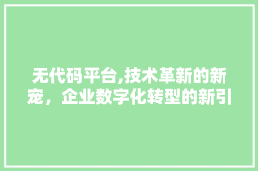 无代码平台,技术革新的新宠，企业数字化转型的新引擎